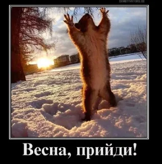 Sticker from кефтеме