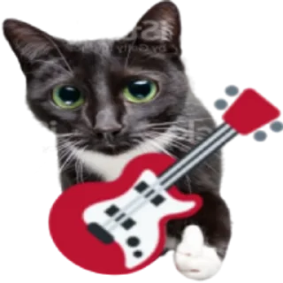 🎸 emoji Kitty Telegram sticker 9 of 25