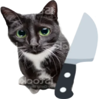 🔪 emoji Kitty Telegram sticker 15 of 25