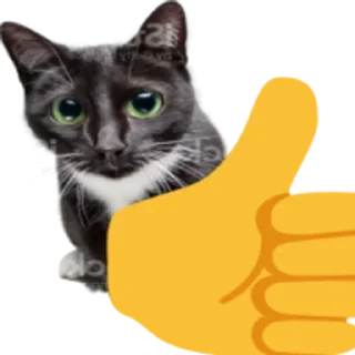 👍 emoji Kitty Telegram sticker 24 of 25