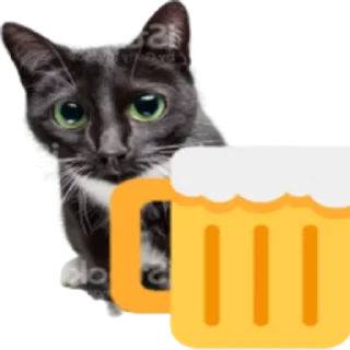 🍺 emoji Kitty Telegram sticker 8 of 25