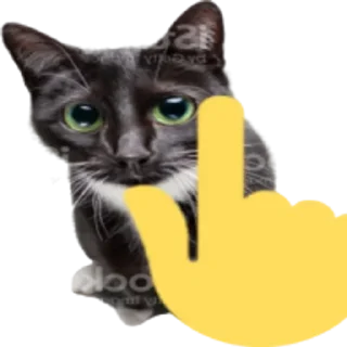 👆 emoji Kitty Telegram sticker 20 of 25