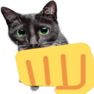 👊 emoji Kitty Telegram sticker 12 of 25