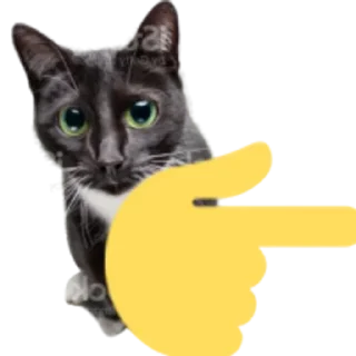 👉 emoji Kitty Telegram sticker 22 of 25