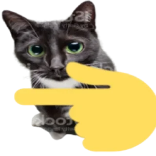 👈 emoji Kitty Telegram sticker 10 of 25
