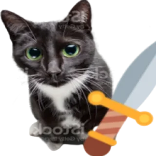 🗡 emoji Kitty Telegram sticker 14 of 25