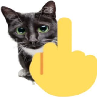 🖕 emoji Kitty Telegram sticker 7 of 25