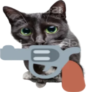 🔫 emoji Kitty Telegram sticker 13 of 25