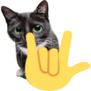 🤟 emoji Kitty Telegram sticker 3 of 25