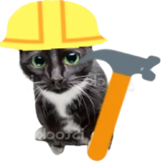 👷‍♂ emoji Kitty Telegram sticker 19 of 25