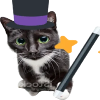 🧙‍♂ emoji Kitty Telegram sticker 16 of 25