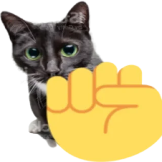 ✊ emoji Kitty Telegram sticker 17 of 25