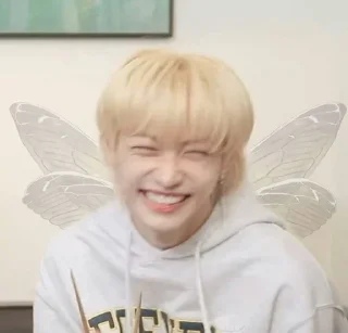 😁 emoji Хë Сопик & Феликс Telegram sticker 19 of 120