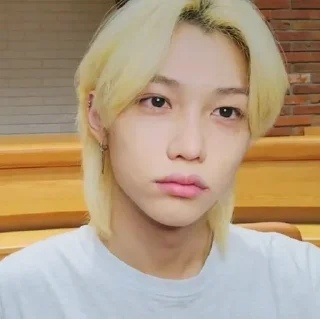 🌟 emoji Хë Сопик & Феликс Telegram sticker 5 of 120