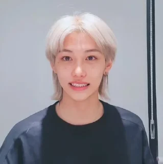 🌟 emoji Хë Сопик & Феликс Telegram sticker 6 of 120
