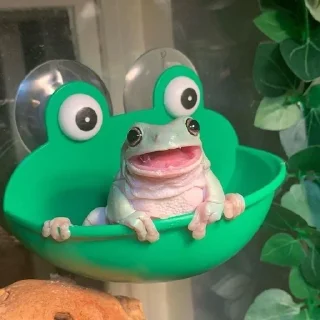 Sticker from frogi