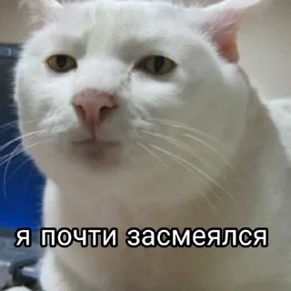 🌟 emoji Жизуля Telegram sticker 16 of 56