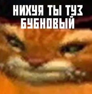 🌟 emoji Жизуля Telegram sticker 11 of 56