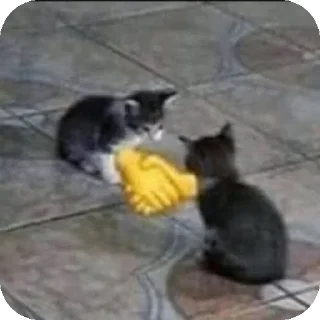 Sticker from Коты от https://t.me/sugomailX