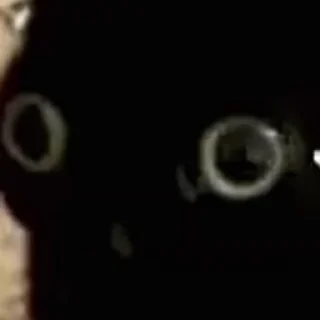 Sticker from Коты от https://t.me/sugomailX