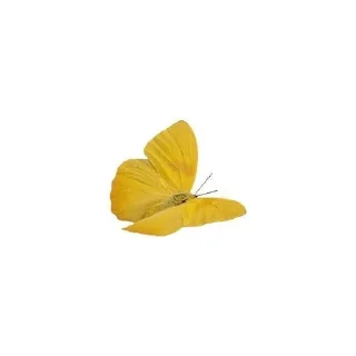 🌟 emoji Yellow png!!💛 Telegram sticker 20 of 39