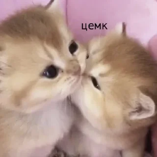 💋 emoji моë Telegram sticker 14 of 35