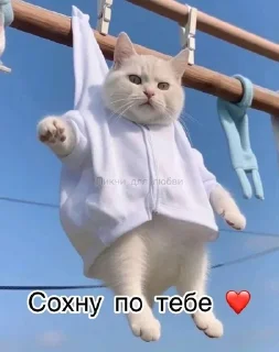 ✨ emoji Мемы от аришки Telegram sticker 19 of 120