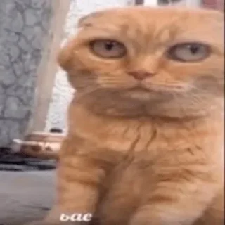 🙄 emoji БОЛЬШЕ ⇨ @CLOOBHUB МЕМЫ СТИКЕРЫ МАГИЧЕСКАЯ БИТВА Telegram sticker 7 of 90