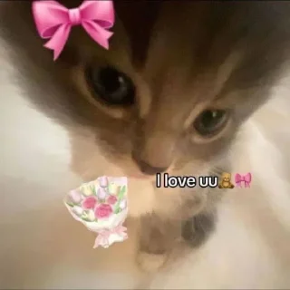 🤩 emoji @d4rkcherry 𑁍ܓ🌷˚₊ Telegram sticker 16 of 63