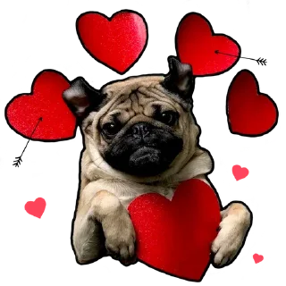 Sticker from Pugs doing things