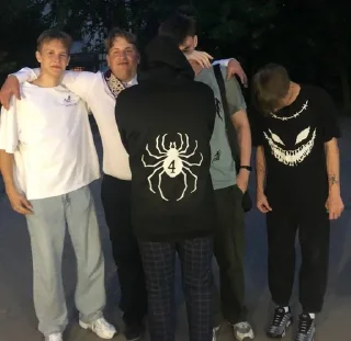 🕸 emoji Пауки Кировск Telegram sticker 20 of 33