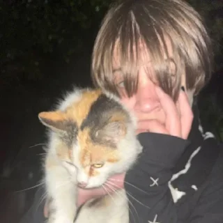 🐱 emoji Пауки Кировск Telegram sticker 17 of 33