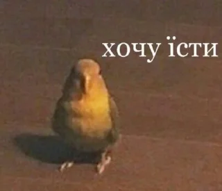 🦜 emoji Файна юкрайна Telegram sticker 10 of 120