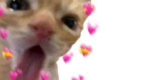 🥰 emoji otSosZaSkiTtles🌈 Telegram sticker 14 of 116