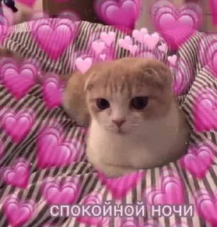 🌟 emoji 💓💟💗💕💘❤️‍🔥💞💗💓❤️‍🔥💟 Telegram sticker 14 of 17