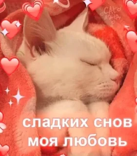 🌟 emoji 💓💟💗💕💘❤️‍🔥💞💗💓❤️‍🔥💟 Telegram sticker 13 of 17