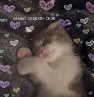 🌟 emoji 💓💟💗💕💘❤️‍🔥💞💗💓❤️‍🔥💟 Telegram sticker 17 of 17