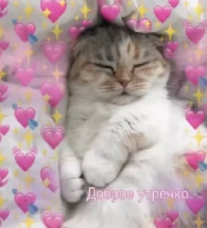 🌟 emoji 💓💟💗💕💘❤️‍🔥💞💗💓❤️‍🔥💟 Telegram sticker 16 of 17