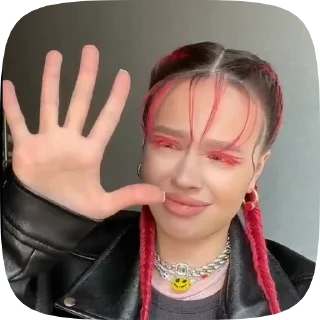 🖕 emoji Instasamka Telegram sticker 14 of 29