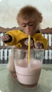 🥛 emoji Big Monkeys Pack Telegram sticker 6 of 50