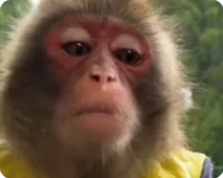 😐 emoji Big Monkeys Pack Telegram sticker 24 of 50
