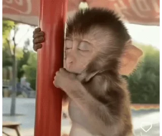 😴 emoji Big Monkeys Pack Telegram sticker 20 of 50