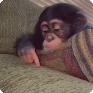 😒 emoji Big Monkeys Pack Telegram sticker 18 of 50