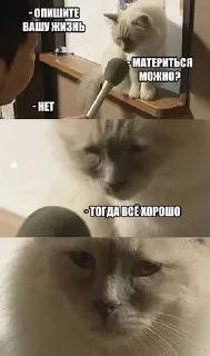 🌟 emoji мемы с чата donatov.net❤️ Telegram sticker 10 of 21