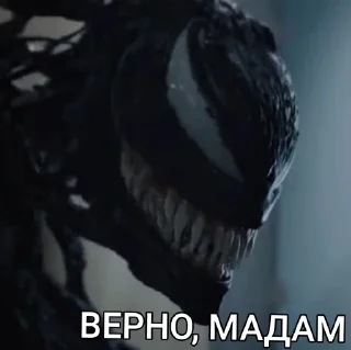 Sticker from VENOMYERS