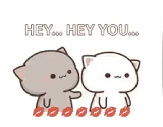 Sticker from BlackWhiteCats