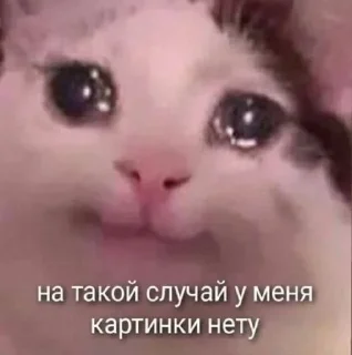 Sticker from для лохов