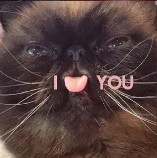 Sticker from для лохов