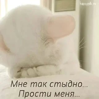 🌟 emoji Прости( Telegram sticker 1 of 5