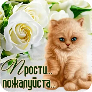 🔳 emoji Прости( Telegram sticker 4 of 5